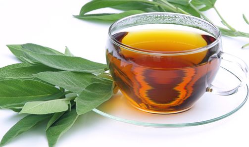 Ceaiul de Salvie: Slăbeşte, Combate Transpiraţia şi Întăreşte Nervii 