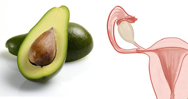 Avocado și Uterul