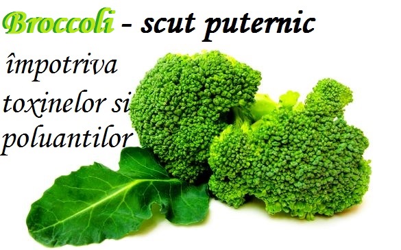 Broccoli - Detoxifică Organismul