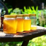 Mierea de salcâm – beneficii preţioase pentru sănătate