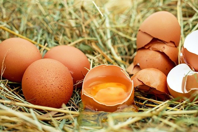 Gălbenuș de ou crud – tratamente pentru numeroase boli