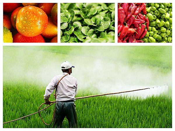 Efectele Expunerii la Pesticidele din Alimente