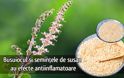 Busuiocul si semintele de susan au efecte antiinflamatoare