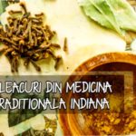 9 leacuri din medicina traditionala indiana