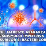 Zincul mareste apararea organismului impotriva virusurilor si bacteriilor