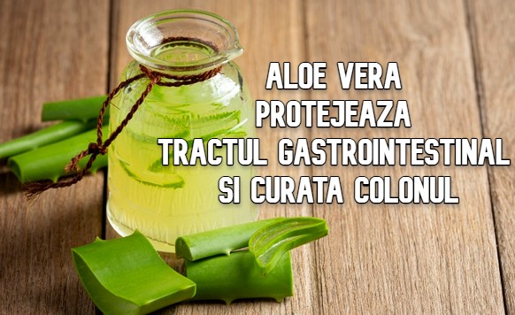 Aloe vera protejează tractul digestiv și curata colonul