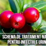 Schema de tratament naturist pentru infectiile urinare