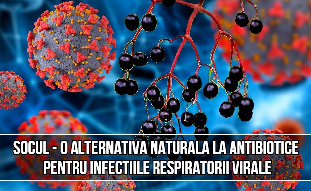 Socul o alternativa naturala la antibioticele utilizate in infectiile respiratorii virale