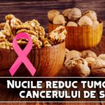 Nucile reduc tumorile cancerului de san