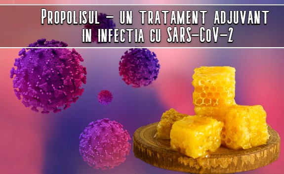 Propolisul poate fi un tratament adjuvant in infectia cu SARS-CoV-2