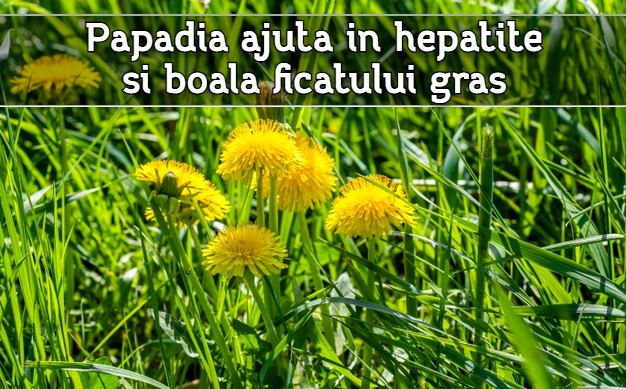 Papadia ajuta in hepatite si boala ficatului gras 