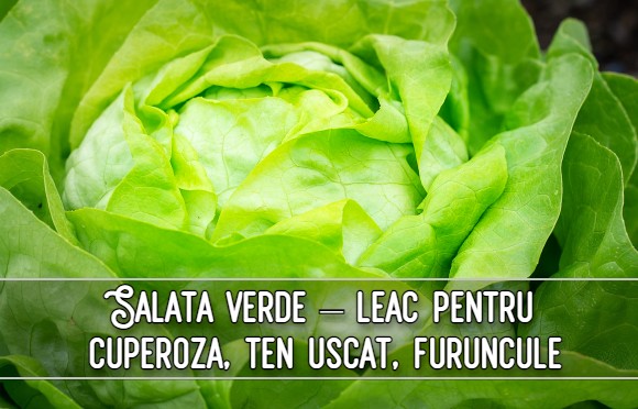 Salata verde – leac pentru cuperoza, ten uscat, furuncule, 