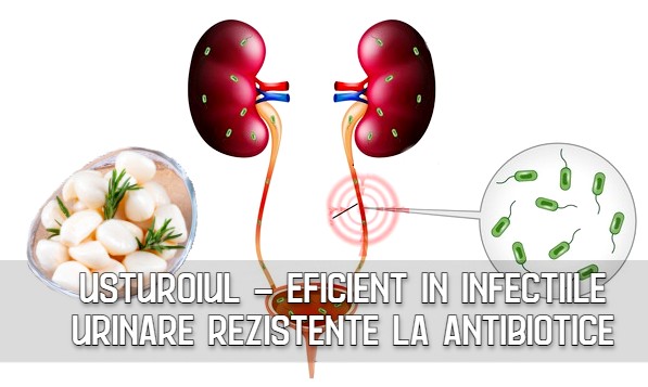 Usturoiul - eficient in infectiile urinare rezistente la antibiotice 