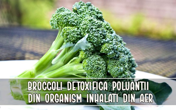 Broccoli detoxifica poluantii din organism inhalati din aer