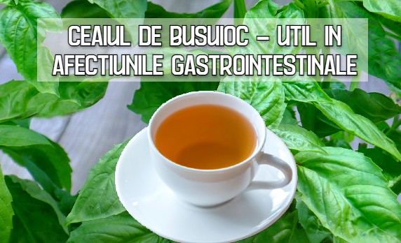 Ceaiul de busuioc - util in afectiuni gastrointestinale