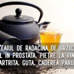 Ceaiul de radacina de urzica – util in prostata, pietre la rinichi, artrita
