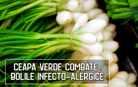 Ceapa verde ajuta in bolile infecto-alergice