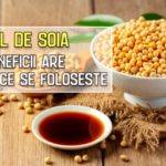 Sosul de soia - ce beneficii are si la ce se foloseste