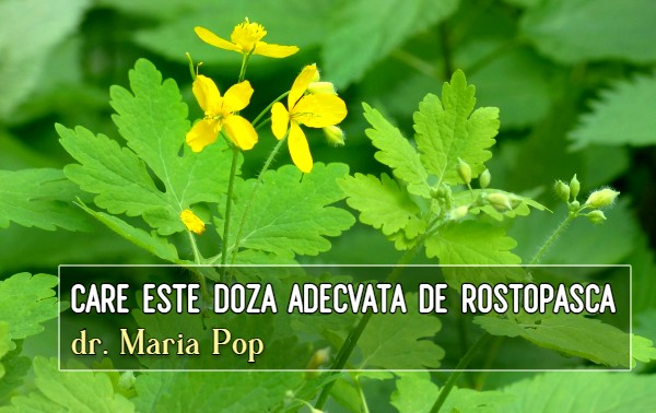 Care este doza adecvata de rostopasca – dr. Maria Pop