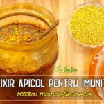 Elixir apicol pentru imunitate – reteta manastireasca