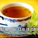 Miraculosul ceai de dafin