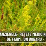 Sanzienele – retete medicinale recomandate de farmacistul Ion Bobaru