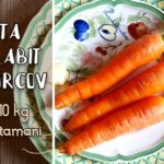 Dieta de slabit cu morcovi