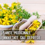 Plante medicinale utile in anxietate si depresie