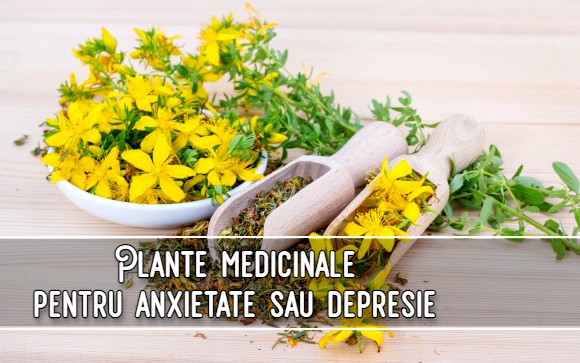 Plante medicinale utile in anxietate si depresie