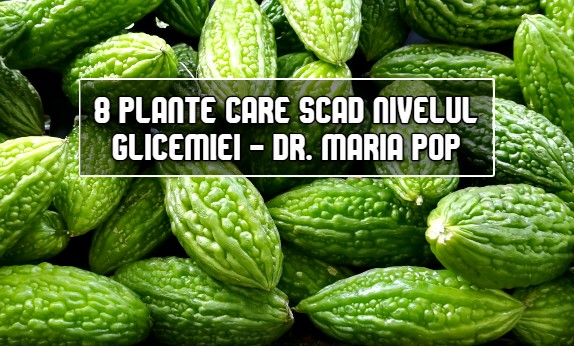 8 plante care scad nivelul glicemiei - dr. Maria Pop