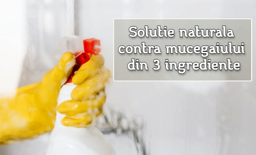 Soluție naturală contra mucegaiului - 3 ingrediente