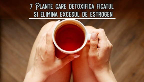 7 plante care detoxifica ficatul si elimina excesul de estrogen