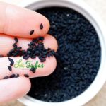 Chimenul negru - planta miracol din farmacia casei
