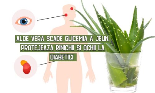 Aloe vera scade glicemia a jeun si protejeaza rinichii si ochii la diabetici