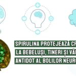 Spirulina protejeaza creierul la bebelusi, tineri si varstnici - antidot al bolilor neurologice
