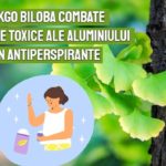 Ginkgo biloba combate efectele toxice ale aluminiului din antiperspirante
