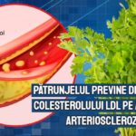 Patrunjelul previne depunerea colesterolului LDL pe artere si arterioscleroza - dr. Eugen Giurgiu