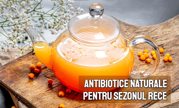 Antibiotice naturale pentru sezonul rece - fitoterapeut Maria Pop
