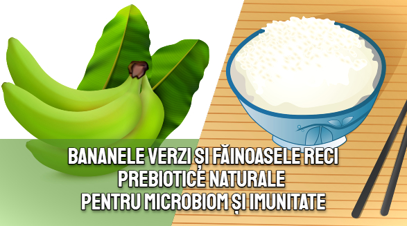 Bananele verzi si fainoasele reci – prebiotice naturale pentru microbiom si imunitate
