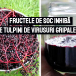 Fructele de soc inhiba 10 tulpini de virusuri gripale A si B