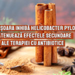 Scortisoara inhiba Helicobacter pylori si atenueaza efectele secundare ale terapiei cu antibiotice