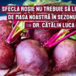 Sfecla rosie nu trebuie sa lipseasca de pe masa noastra - dr. Catalin Luca