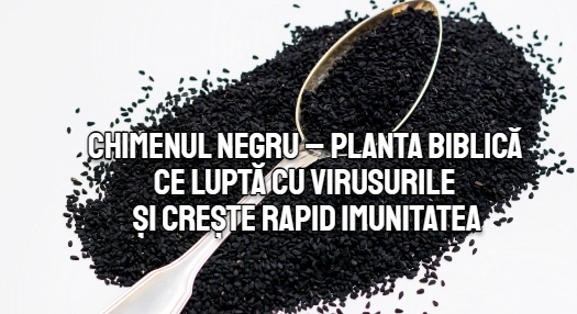 Chimenul negru – planta biblica ce lupta cu virusurile si creste rapid imunitatea
