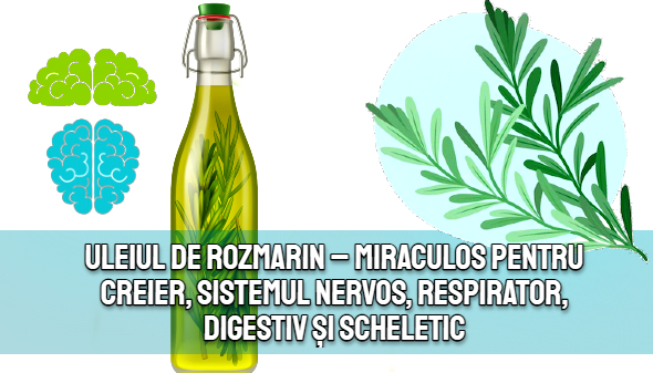 Uleiul de rozmarin – un miracol pentru creier, sistemul nervos, respirator, digestiv si scheletic