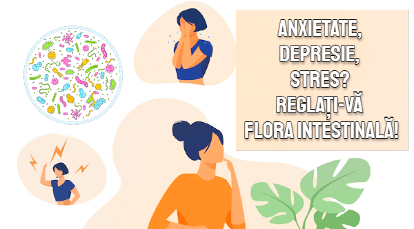 Anxietate, depresie, stres - reglati-va flora intestinala