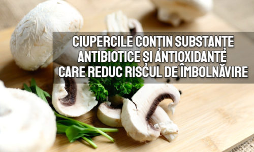 Ciupercile contin substante antibiotice si antioxidante care reduc riscul de imbolnavire