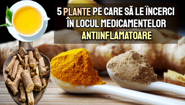 5 plante alternativa la medicamentele antiinflamatoare