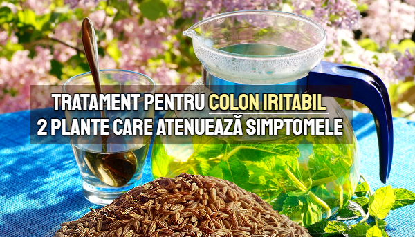 Tratament pentru colon iritabil - 2 plante care atenueaza simptomele
