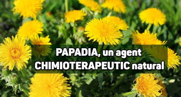 Papadia - un agent chimioterapeutic natural