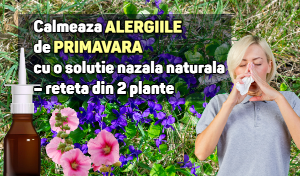 Calmeaza alergiile de primavara cu o solutie nazala naturala – reteta din 2 plante